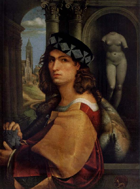 CAPRIOLO, Domenico Portrait of a man Spain oil painting art
